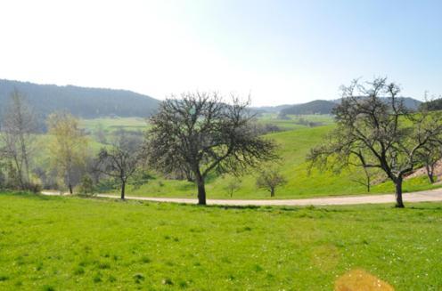 Fehrenbacherhof Naturgaestehaus Лаутербах Екстериор снимка
